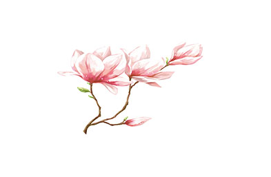 VI設(shè)計常有的問題